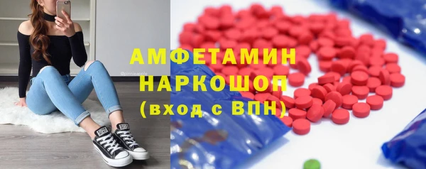 шишки Каменногорск