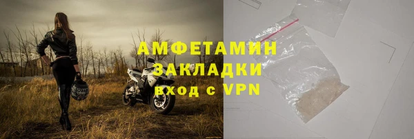 шишки Каменногорск