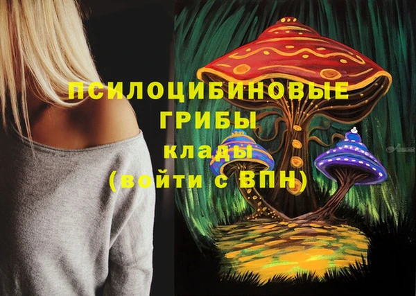 метамфетамин Инсар